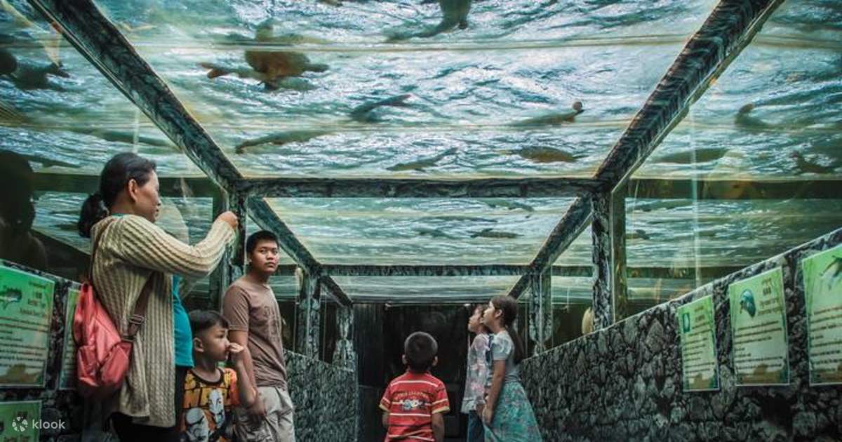 Monster Aquarium Pattaya Up close experience with exotic species